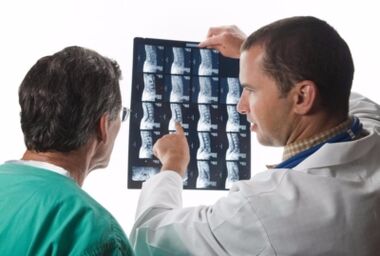 Doctor seems to be vertebrate